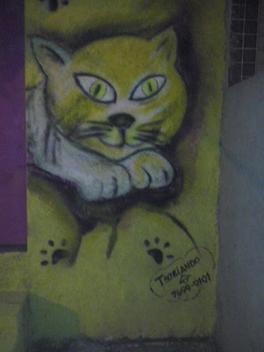 Grafite Gato