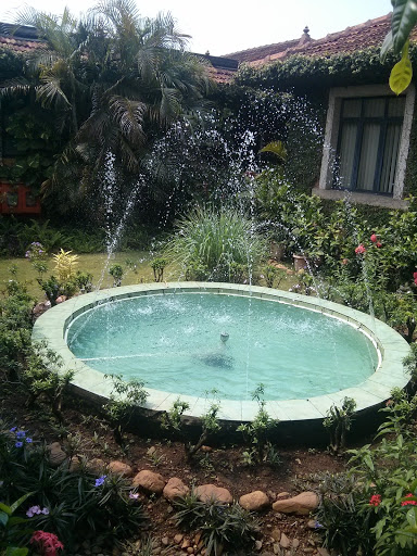 ICG Fountain
