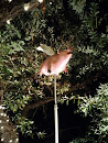 Abuelita's Flying Pig