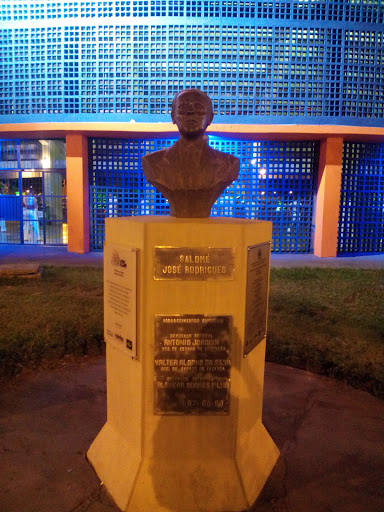 Busto Salomé José Rodrigues