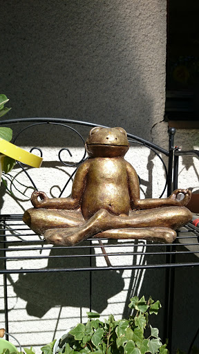 Metitating frog sculpture Goldberg