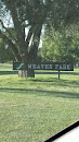 Weaver Park 