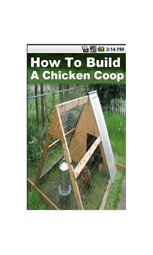 How To Build A Chicken Coop