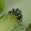 Peppered jumper