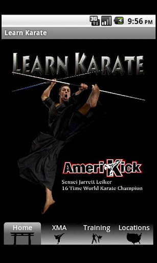 Amerikick's Learn Karate