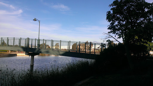 The Duck Bridge