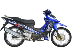 [kriss-xcite-STZ[2].png]