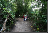 03 Canopy Walk (88)