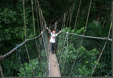 03 Canopy Walk (130)