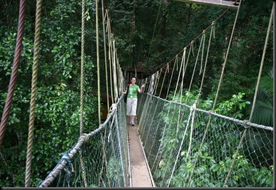 03 Canopy Walk (131)