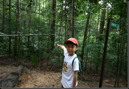 03 Canopy Walk (160)
