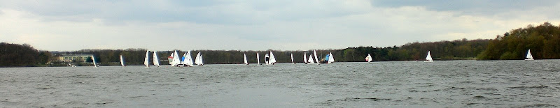 Regattafeld