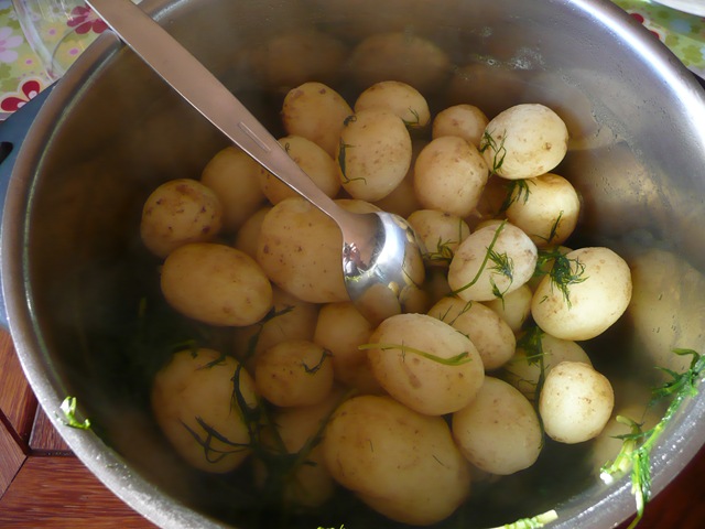 [sommar_nypotatis[3].jpg]