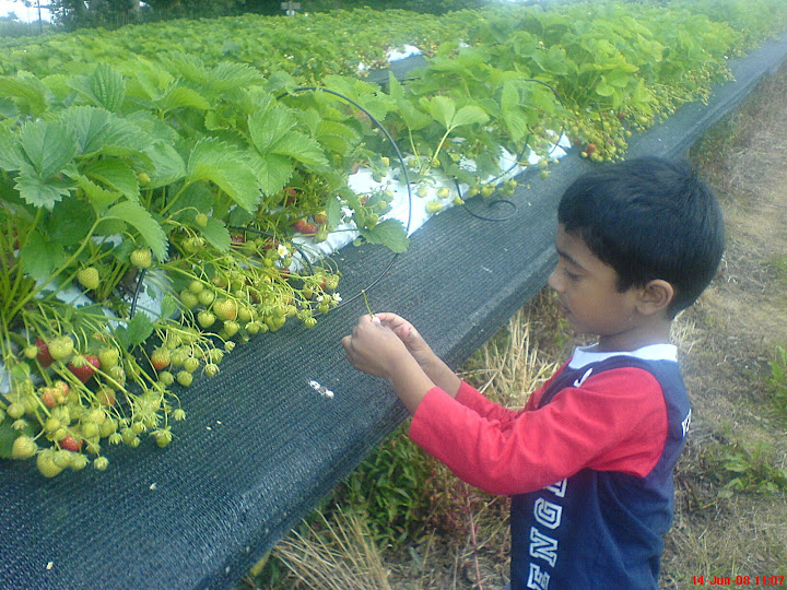 Concentrate!