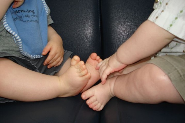 [DSC00329[2].jpg]