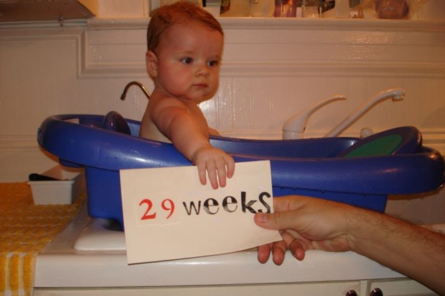 [sign[7].jpg]