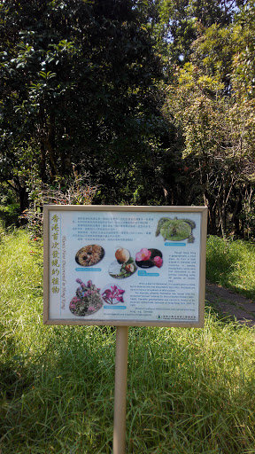 Plants First Discovered in Hong Kong