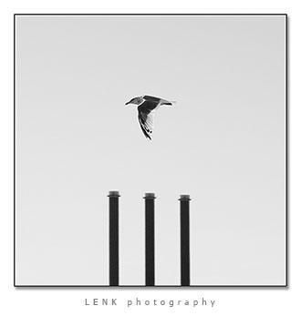 LENK_Clean_Air.jpg