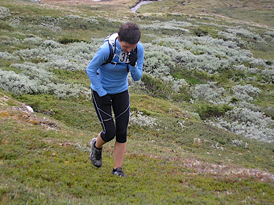 Etape 4 : 38km D+1850 - Fin de l'ascension au dessus du Aurlandsfjorden (photo de Florence Alexandre)