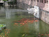 Shanghai, Yu garden
