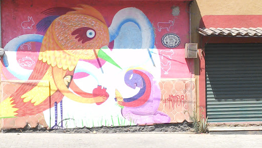 Graffiti De Aves