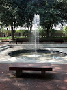 Library Fountain