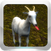Goat Farm 3D