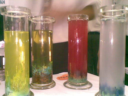 Density! Add different liquids Density! Add different liquids