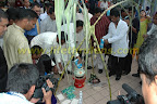 pouring milk pouring milk