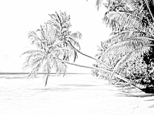 [Playa_paradisiaca copia2[4].jpg]