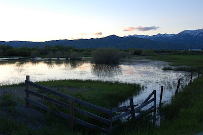 Pond, fence, cloud reflection - near Fairfield, Idaho