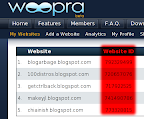 WebsiteID.png