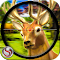 hack astuce Deer Hunting - Sniper Shooting en français 