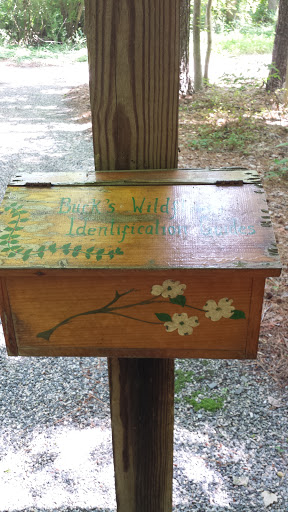 Buck's Wildflower Guide