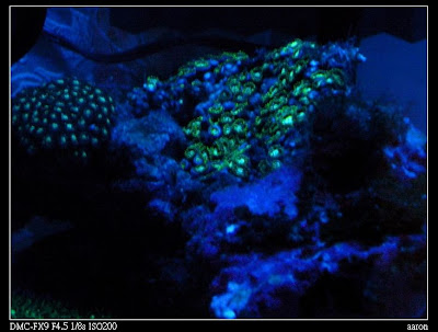P1030920%20132.jpg