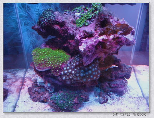 P1030940%20123.jpg
