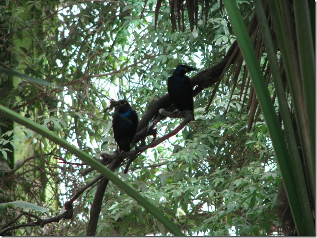 2008.08.04_parquebiologicodegaia_0010