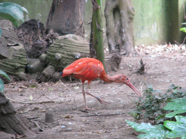 [2008.08.04_parquebiologicodegaia_0011[3].jpg]