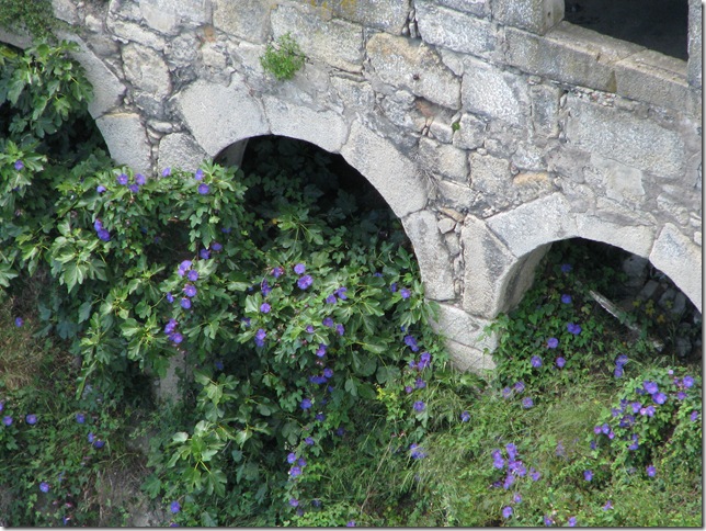 2008.06_porto_pilar_fontainhas_067