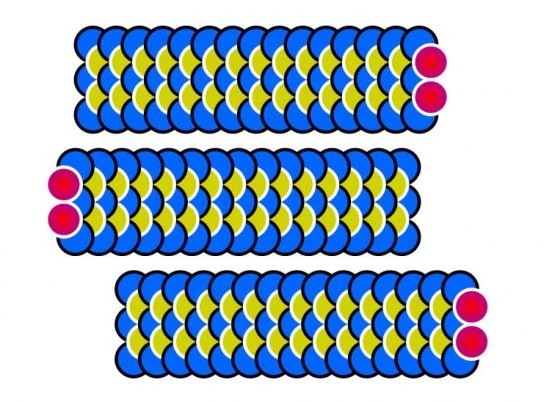 [dordecabeca09[3].jpg]