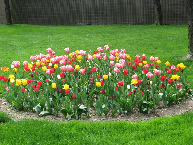 [2008.05_nova_iorque_044[3].jpg]