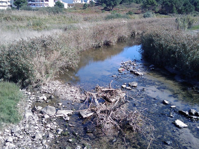 [2008.09_riacho_04[3].jpg]