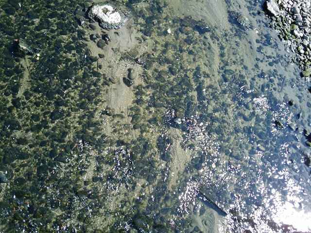 [2008.09_riacho_05[3].jpg]