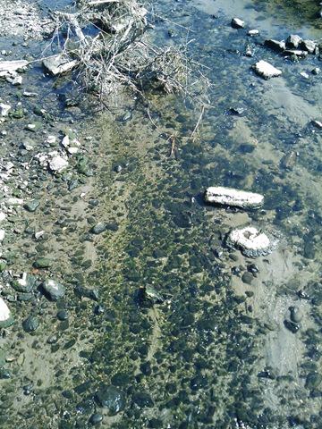 [2008.09_riacho_06[3].jpg]