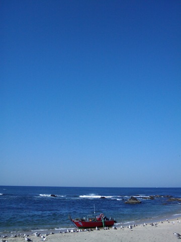 [2008.09_praia_de_angeiras_05[3].jpg]