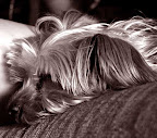 Nikki 1