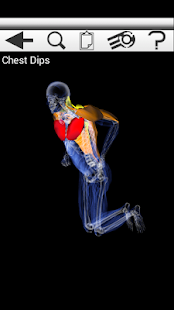 How to mod Precision Fit Trainer FREE 1.1 mod apk for laptop