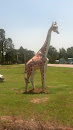 Giraffe Statue
