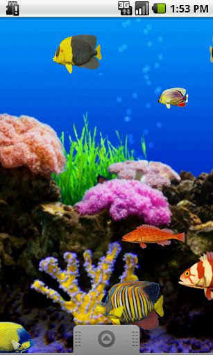 【免費個人化App】Fish-O-Meter LITE - Live WP-APP點子