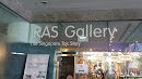 Iras Gallery